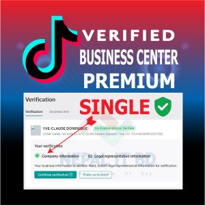 Tiktok Business Centar Agency PREMIUM